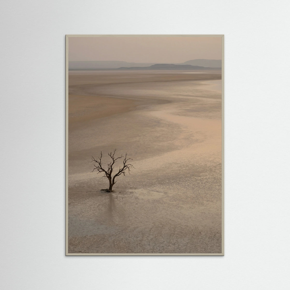 Grey Wood Arid Horizon