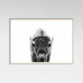 Póster Bison Bw – póster e impresión artística