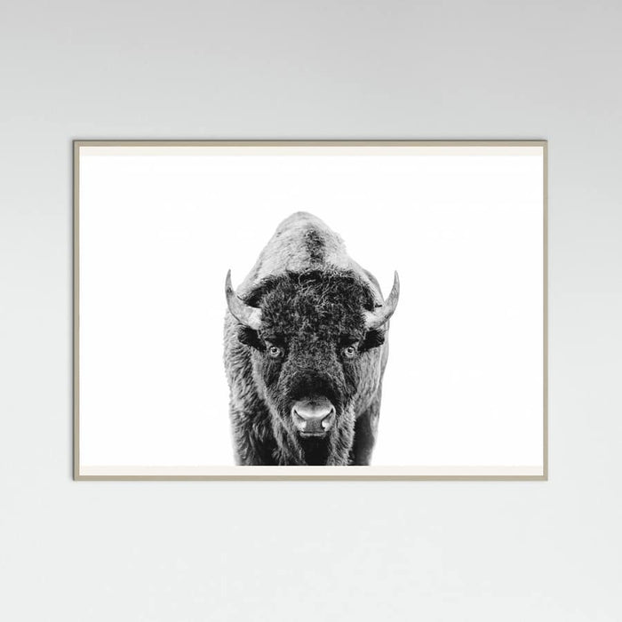 Póster Bison Bw – póster e impresión artística
