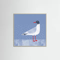 Black Headed Gull Poster – plakat og kunsttryk