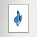 Affiche Blue Seashell On White Background No3 – affiche et impression d’art