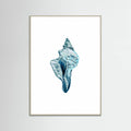 Blue Seashell On White Background No4 Poster – poster och konsttryck