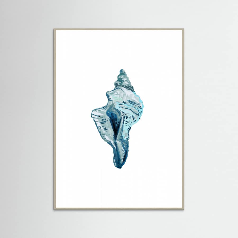 Blue Seashell On White Background No4 Poster – poster och konsttryck