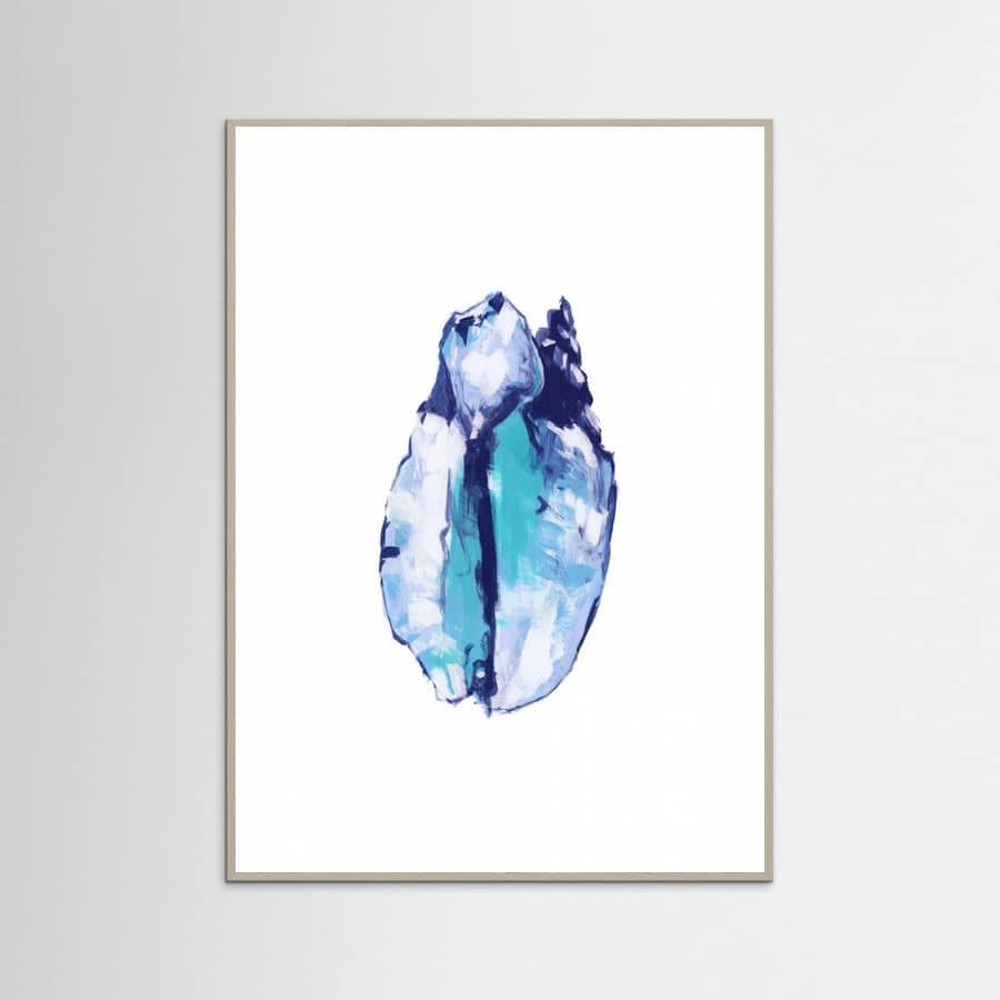 Blue Seashell On White Background No5 Poster – Poster und Kunstdruck