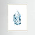 Blue Seashell On White Background No6 Poster – plakat og kunsttryk