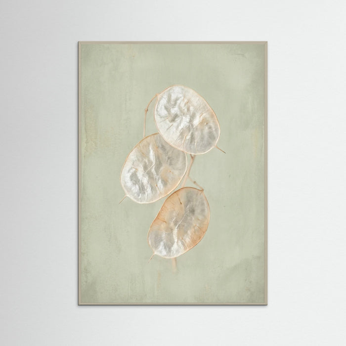 Grey Wood Blush Bloom