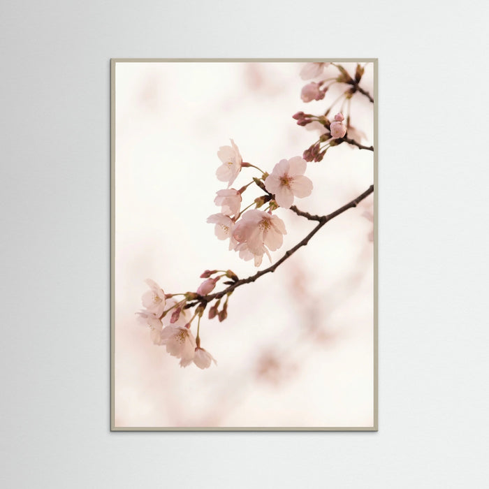 Grey Wood Blushing Branches