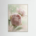 Grey Wood Blushing Serenity