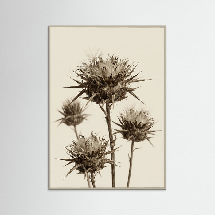 Grey Wood Botanical Elegance