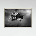Grey Wood Bucking Calf Ride Poster