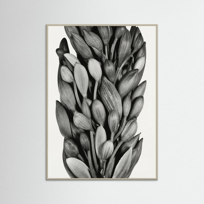 Grey Wood Budding Forms