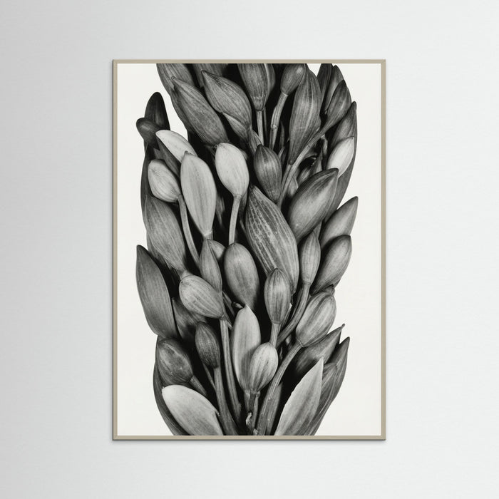 Grey Wood Budding Forms