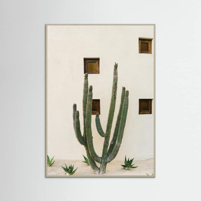 Grey Wood Cabo Cactus IX Poster