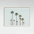 Póster Cali Palms – póster e impresión artística