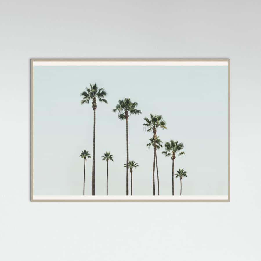 Póster Cali Palms – póster e impresión artística