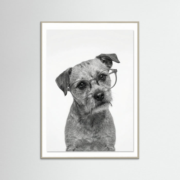 Grey Wood Canine Companions