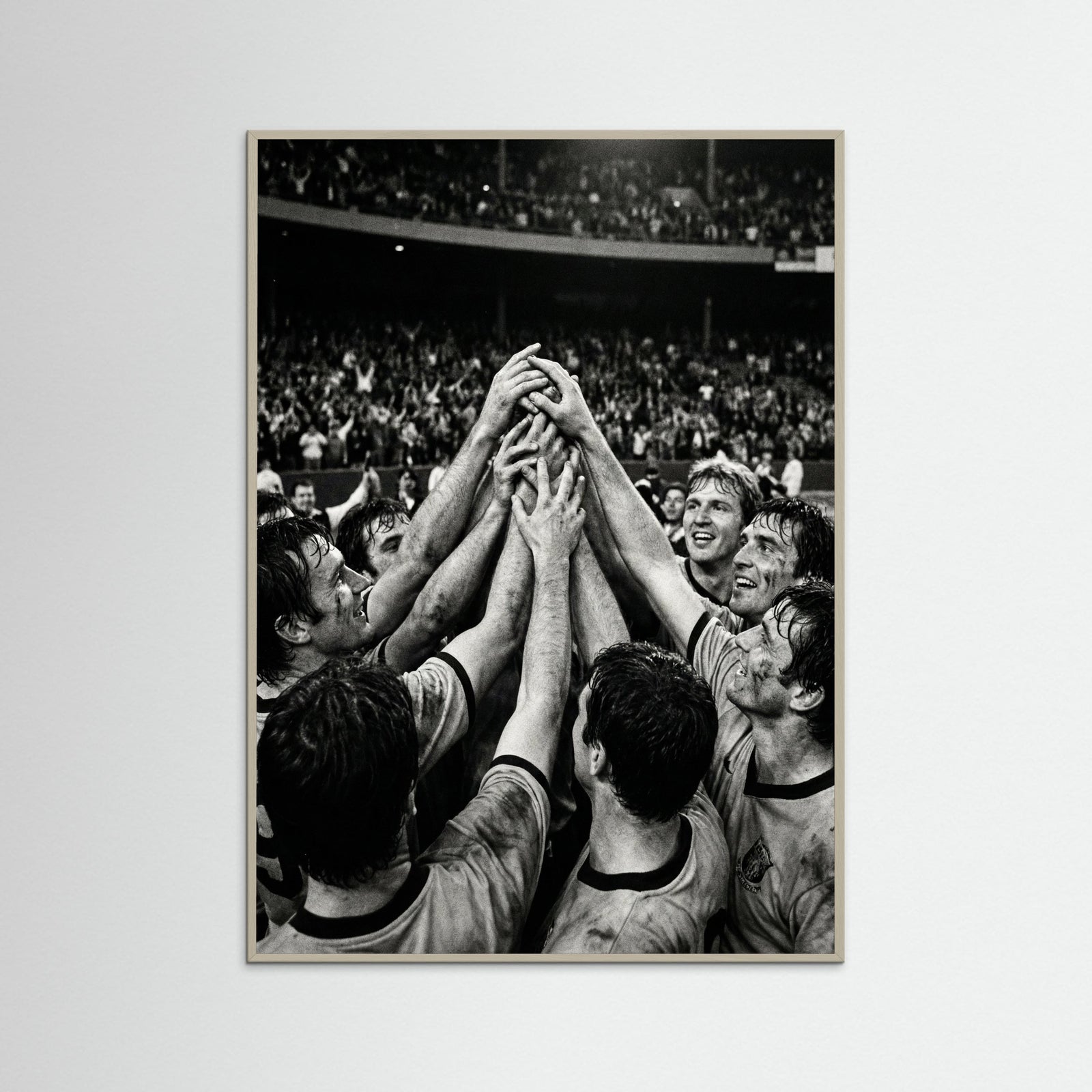 Grey Wood Champions Gaze