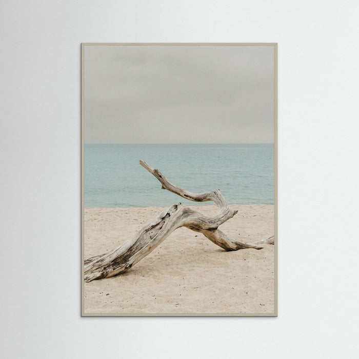 Grey Wood Coastal Seren