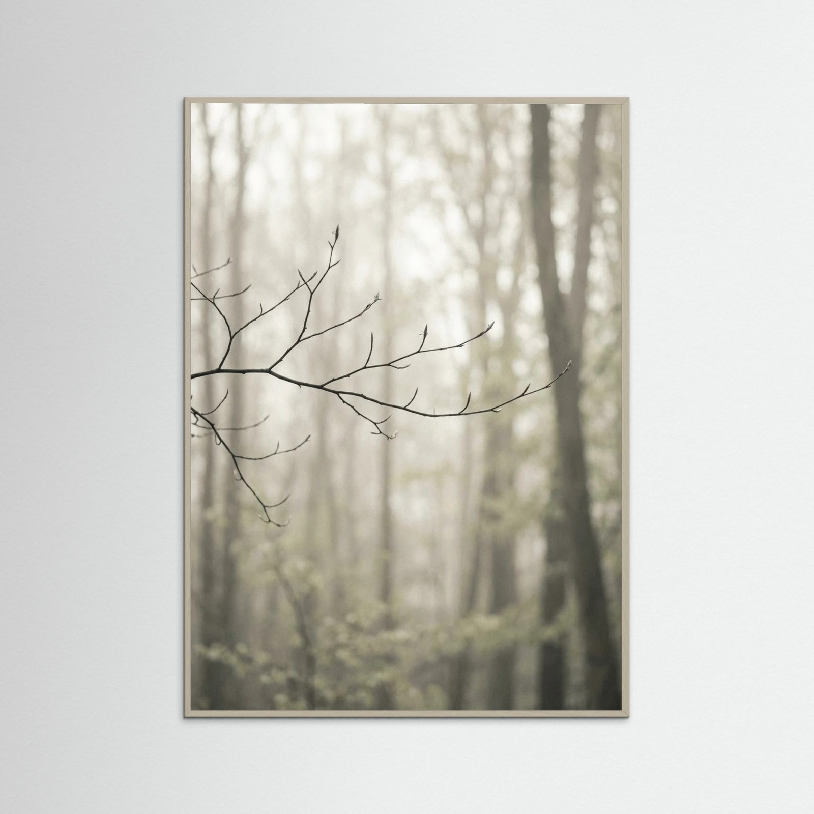 Grey Wood Coastal Serenity