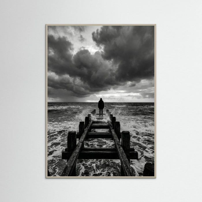 Grey Wood Coastal Solitude