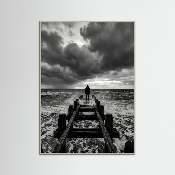 Grey Wood Coastal Solitude