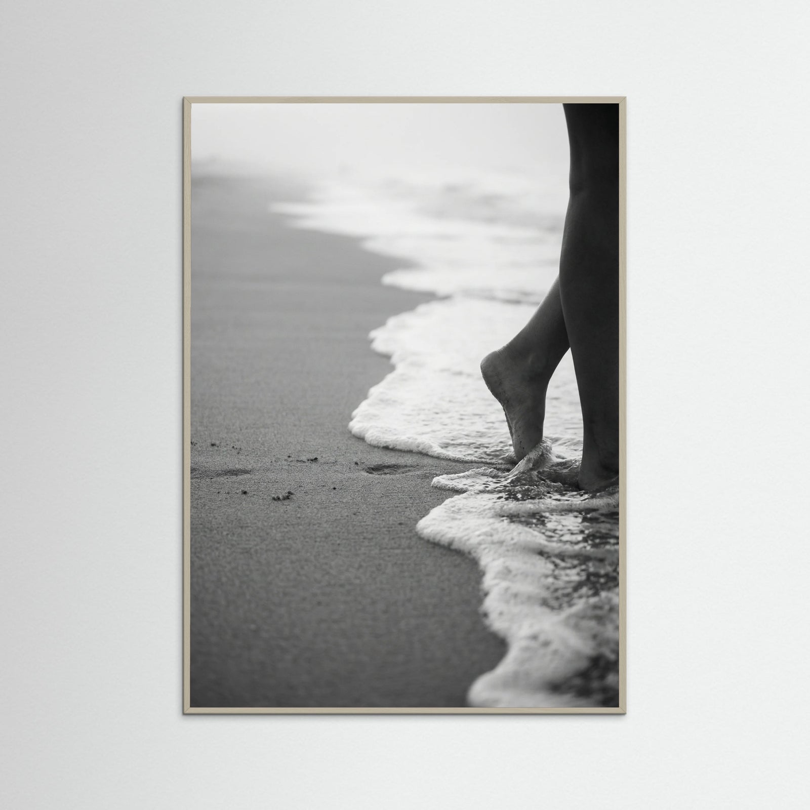 Grey Wood Coastal Wanderer