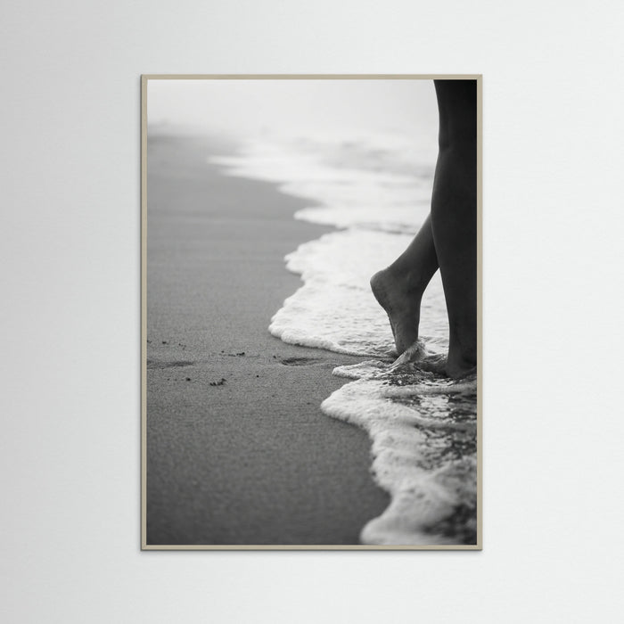 Grey Wood Coastal Wanderer