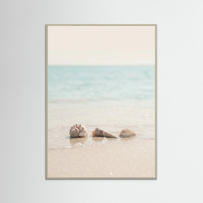 Grey Wood Coastals Serenity