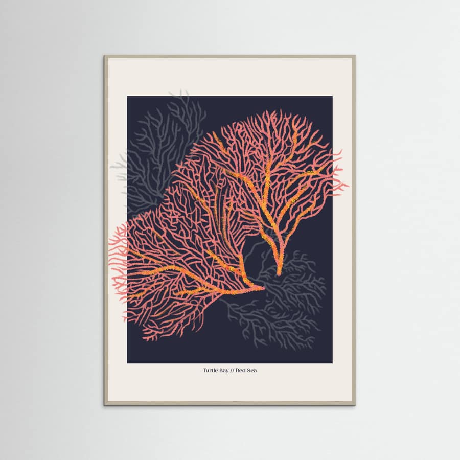 Affiche Coral Garden Turtle Bay – affiche et impression d’art
