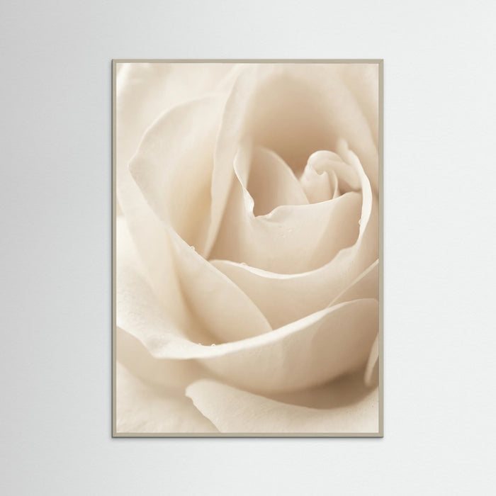Grey Wood Creamy Blooms