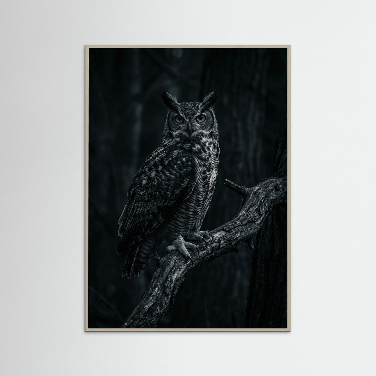 Grey Wood Dark Congregation