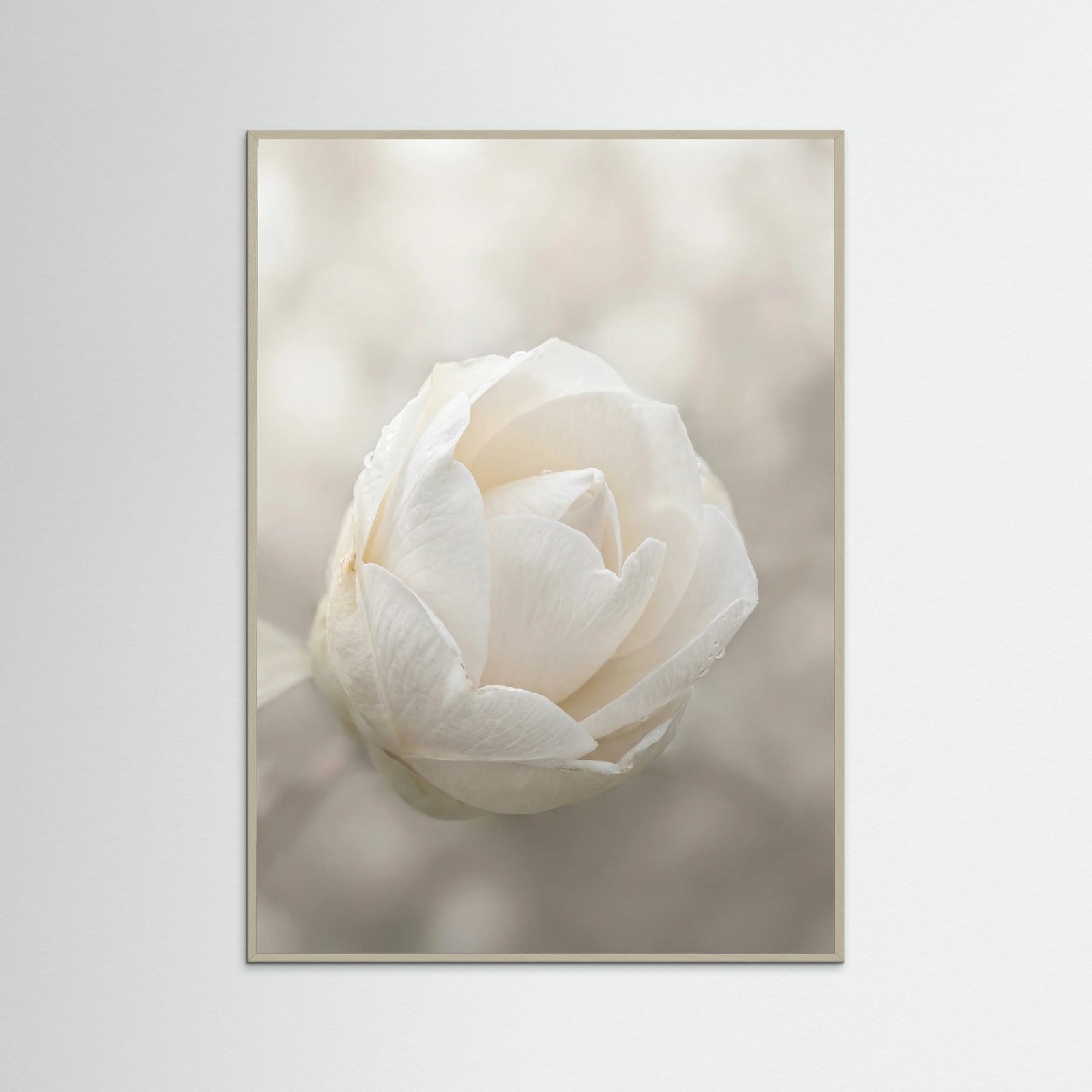 Grey Wood Delicate Floral Bloom