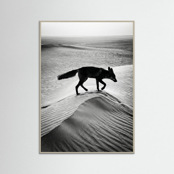 Grey Wood Desert Spirit