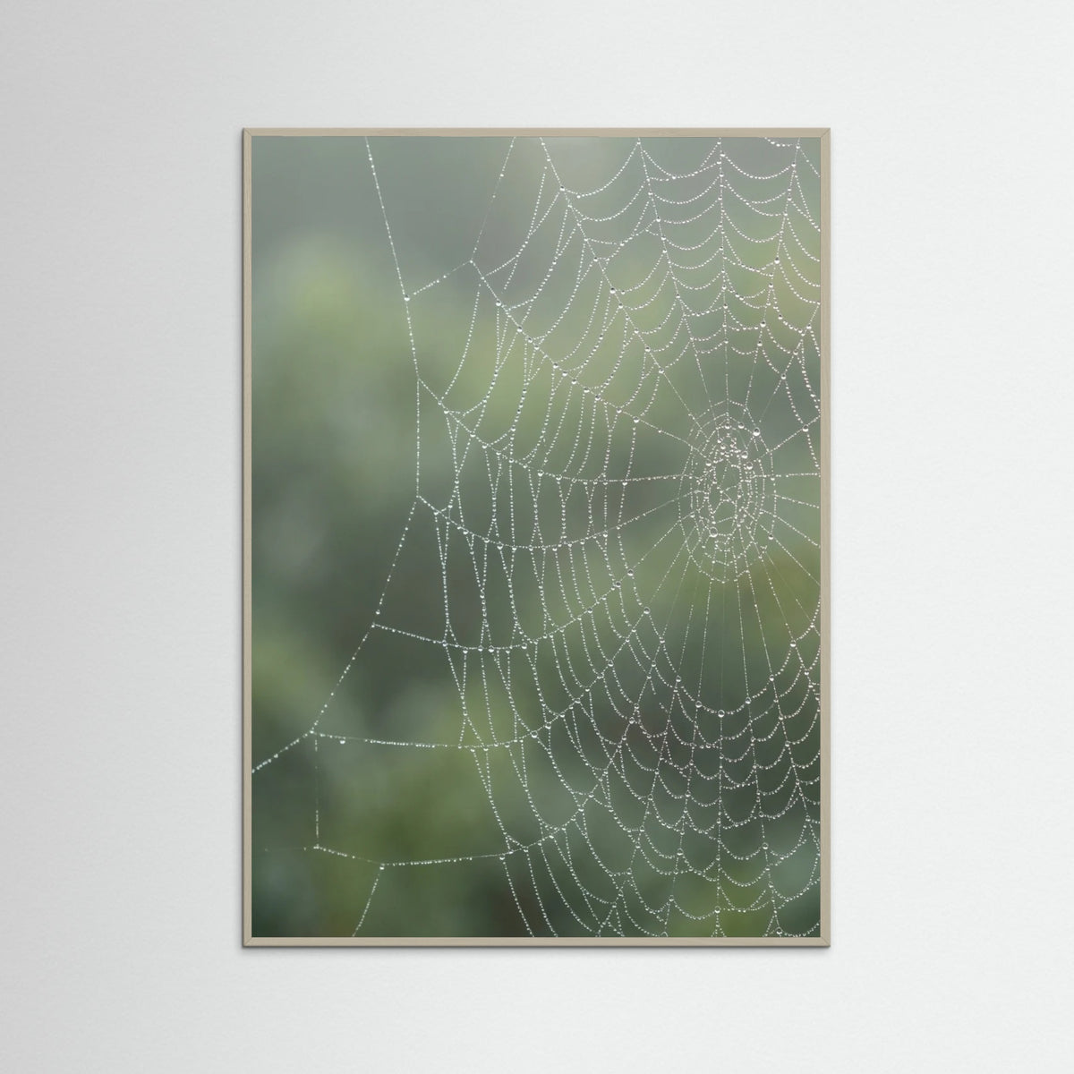 Grey Wood Dew Kissed