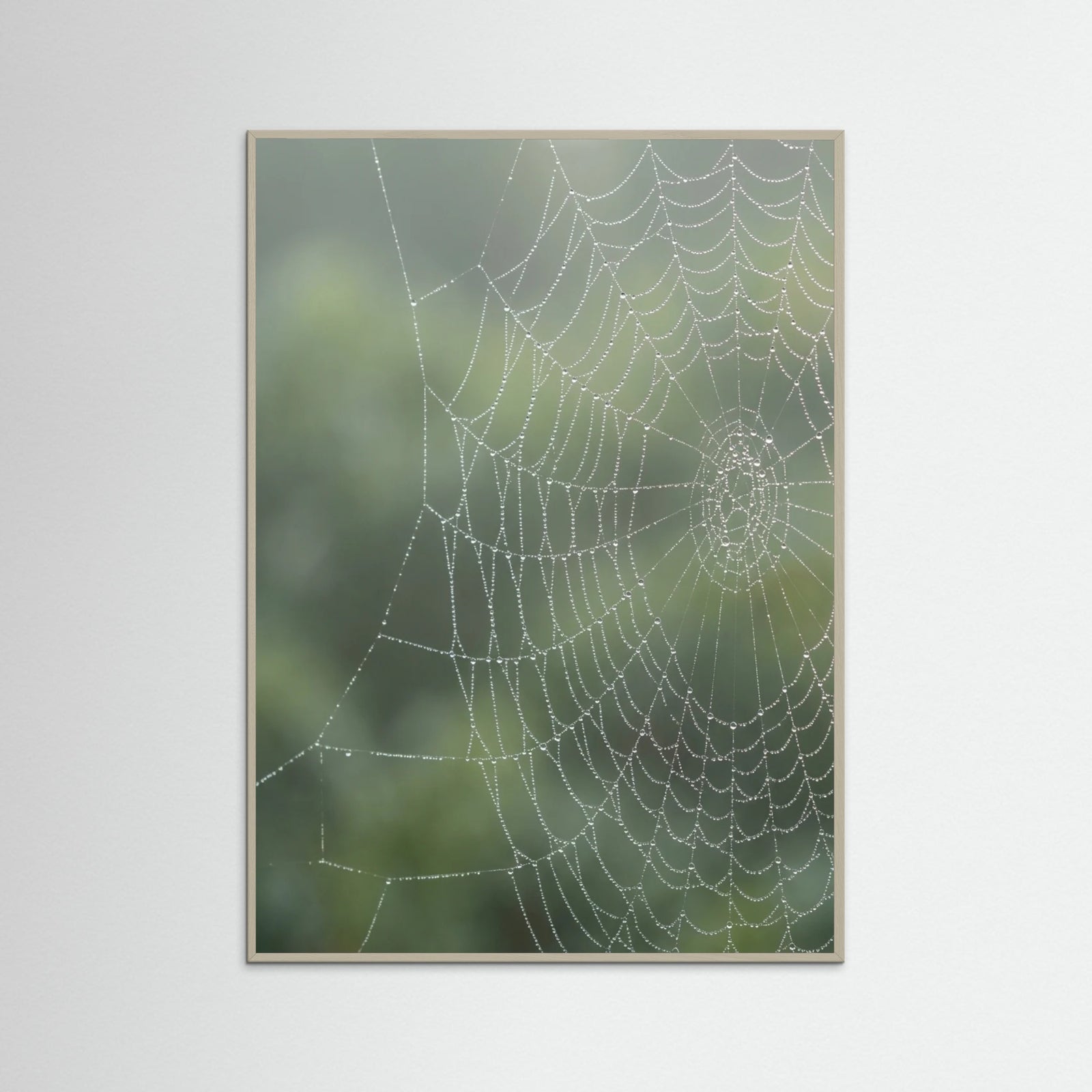 Grey Wood Dew Kissed