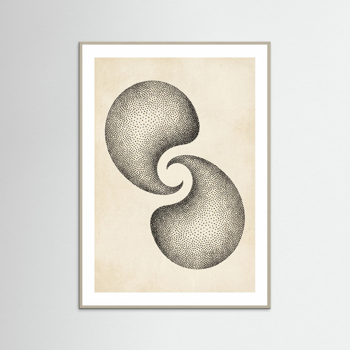 Grey Wood Dotted Cosmos