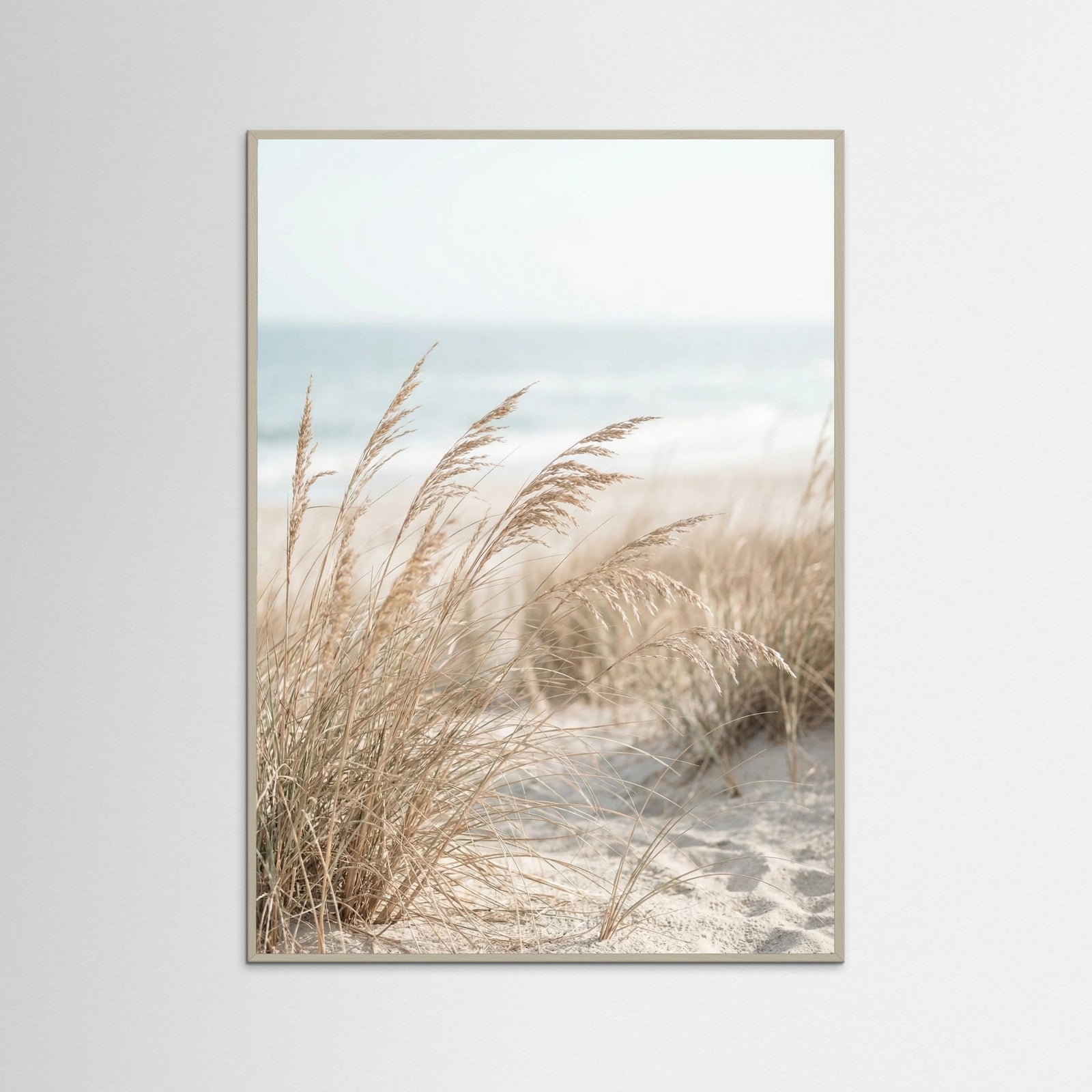 Grey Wood Dune Path Serenity