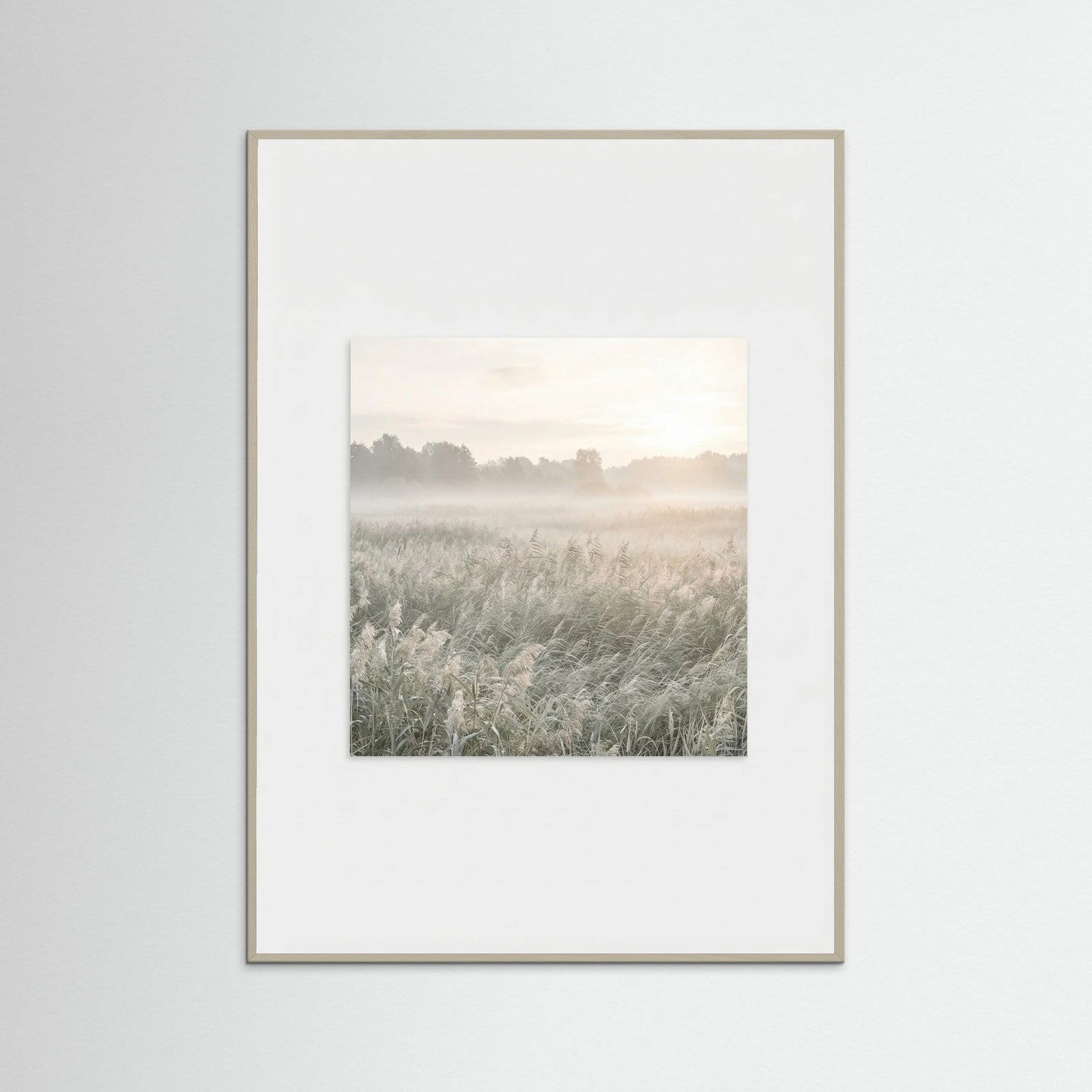 Grey Wood Dune Sunset Serenity