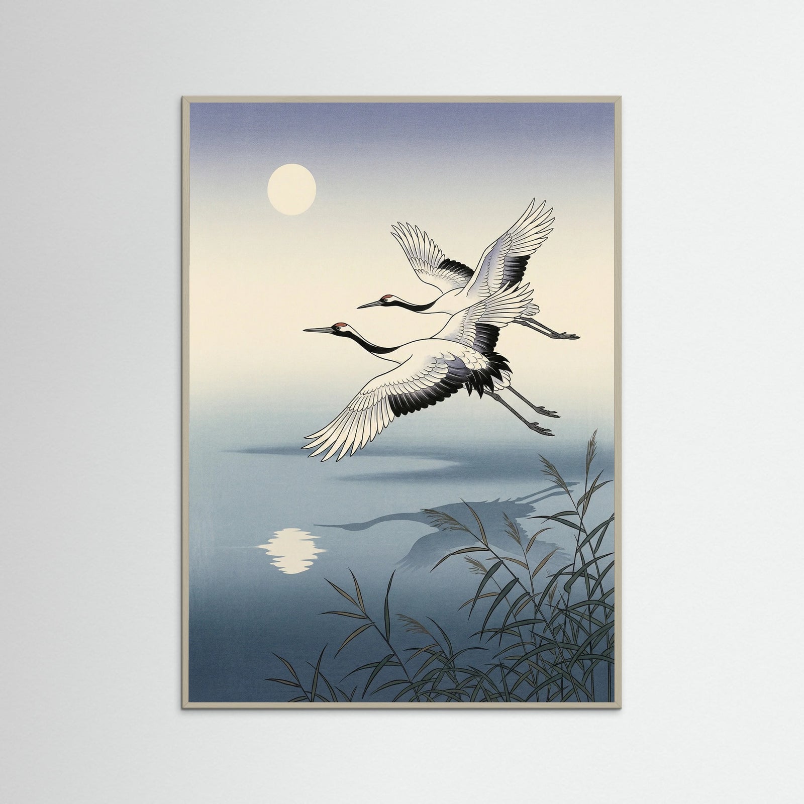 Grey Wood Elegant Peacocks Perched