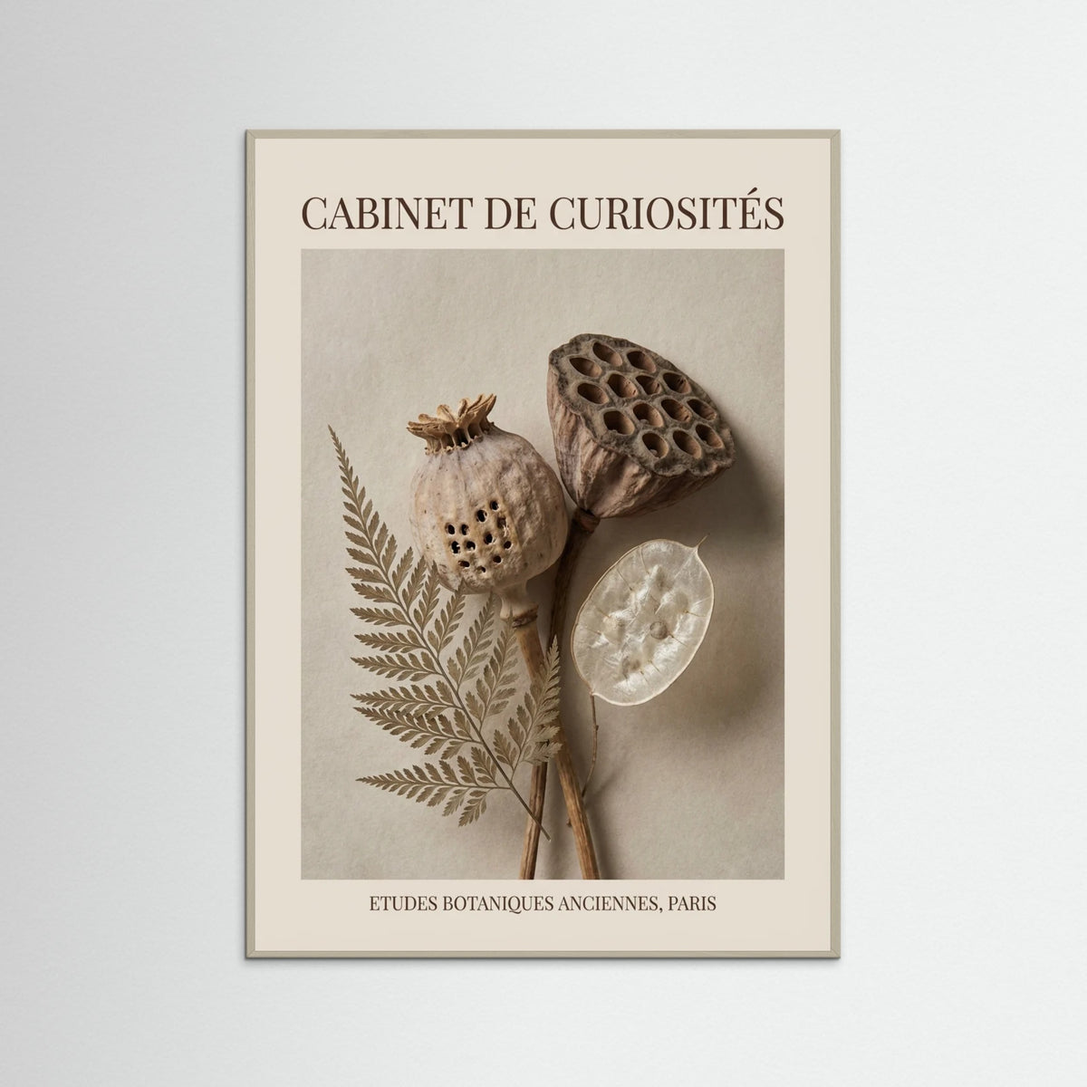 Grey Wood Ephemeral Botany