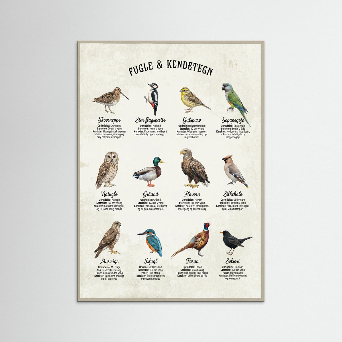 Grey Wood Equine Breed Guide