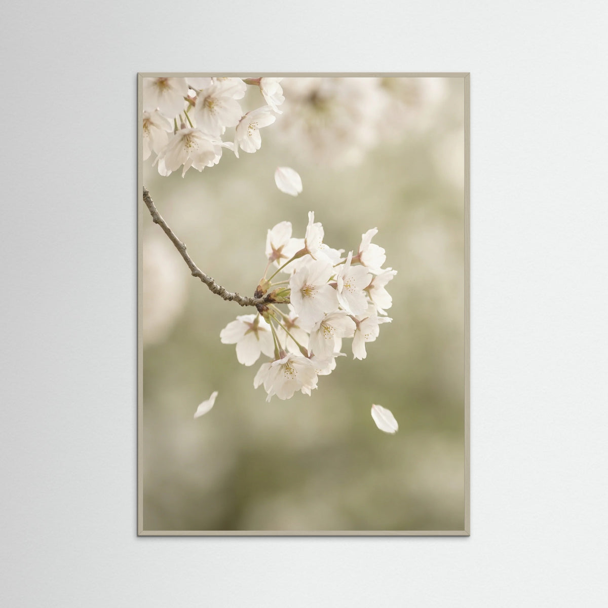 Grey Wood Ethereal Bloom White