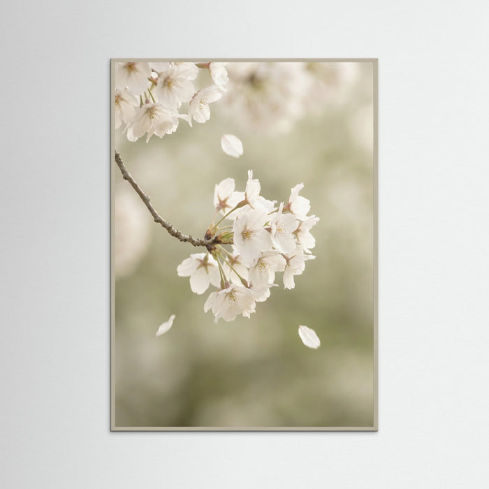 Grey Wood Ethereal Bloom White