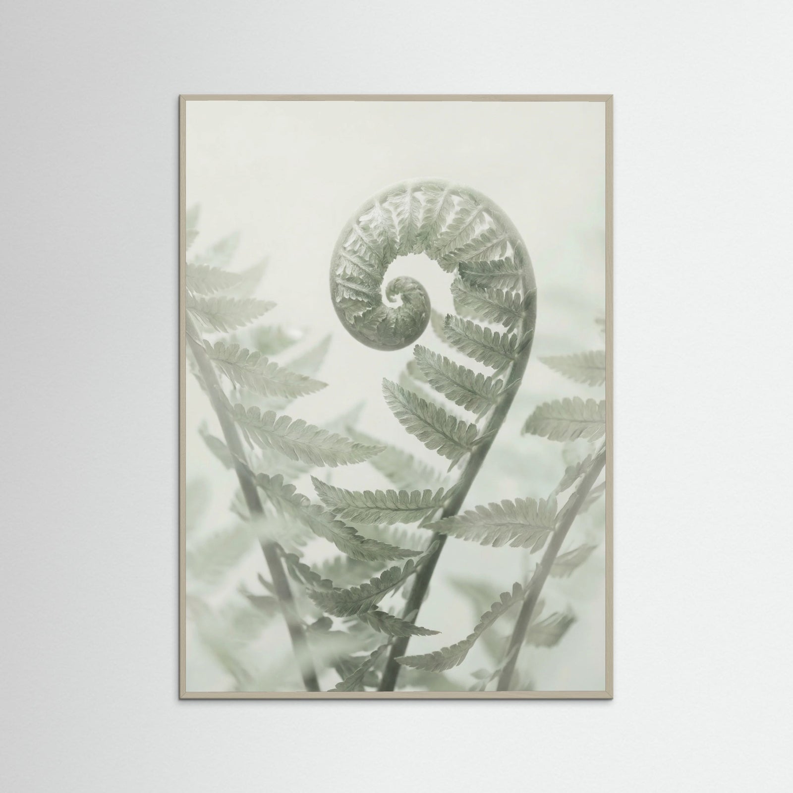 Grey Wood Ethereal Eucalyptus