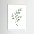Grey Wood Eucalyptus Serenity