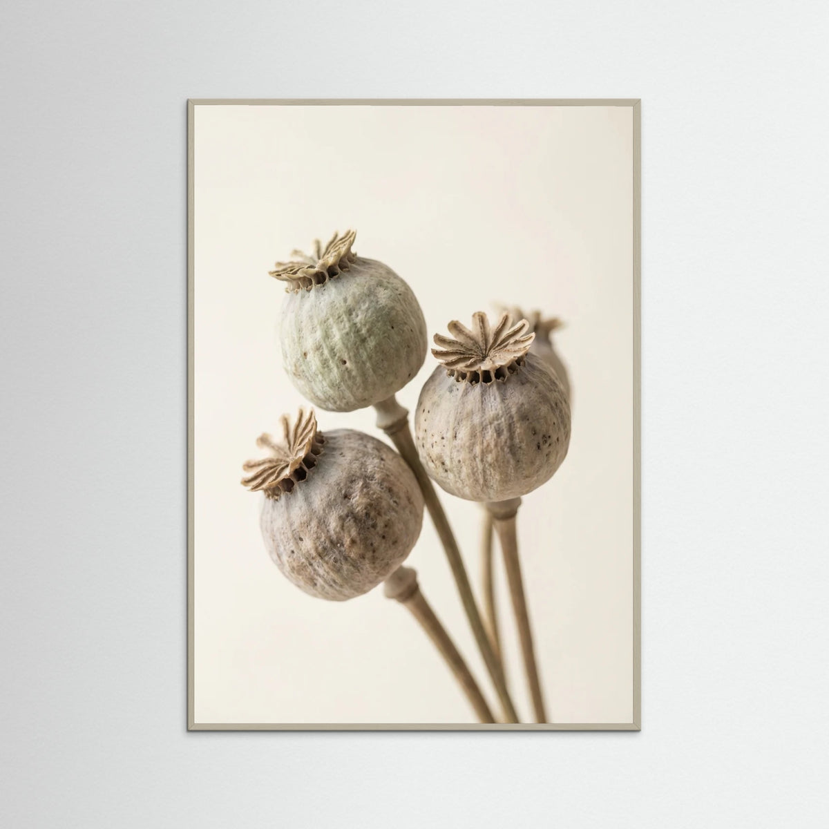 Grey Wood Faded Bloom