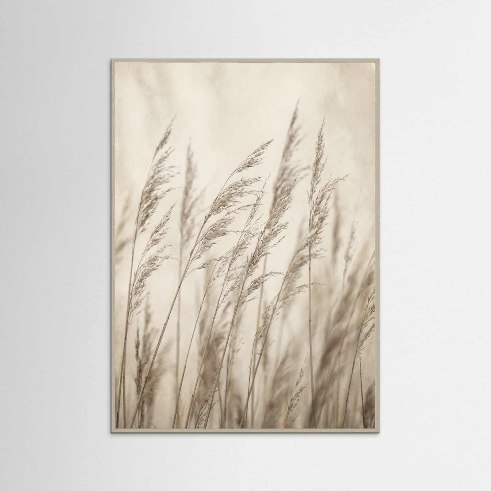 Grey Wood Faded Grace