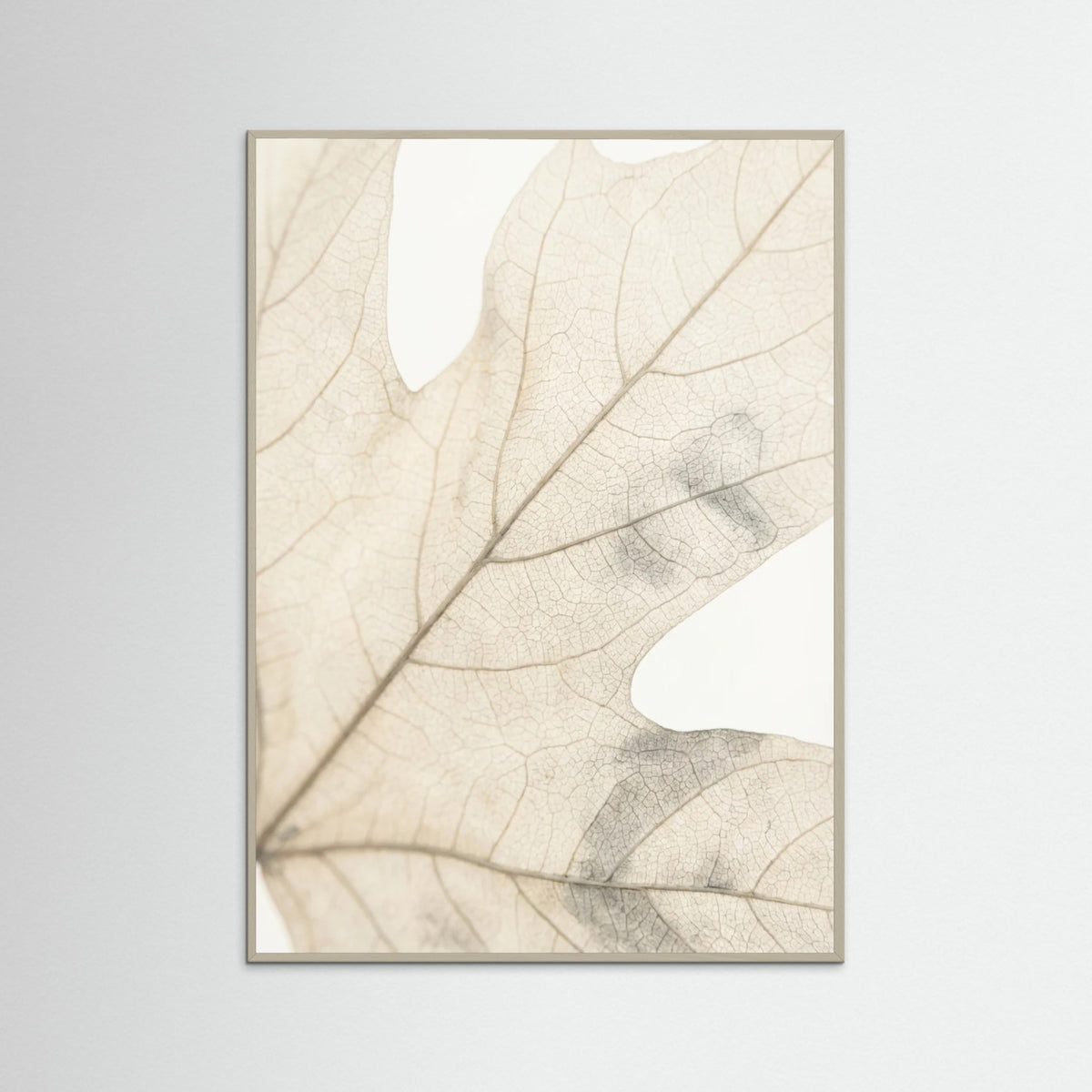 Grey Wood Faded Petals