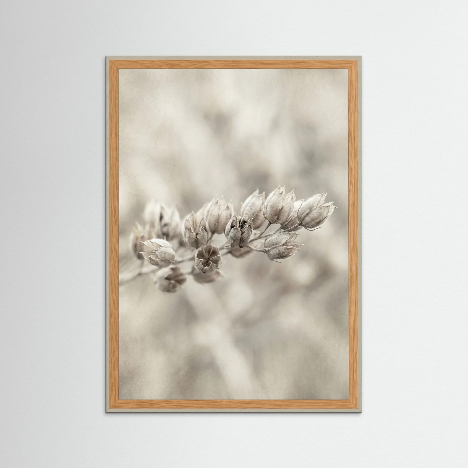 Grey Wood Faded Whisper