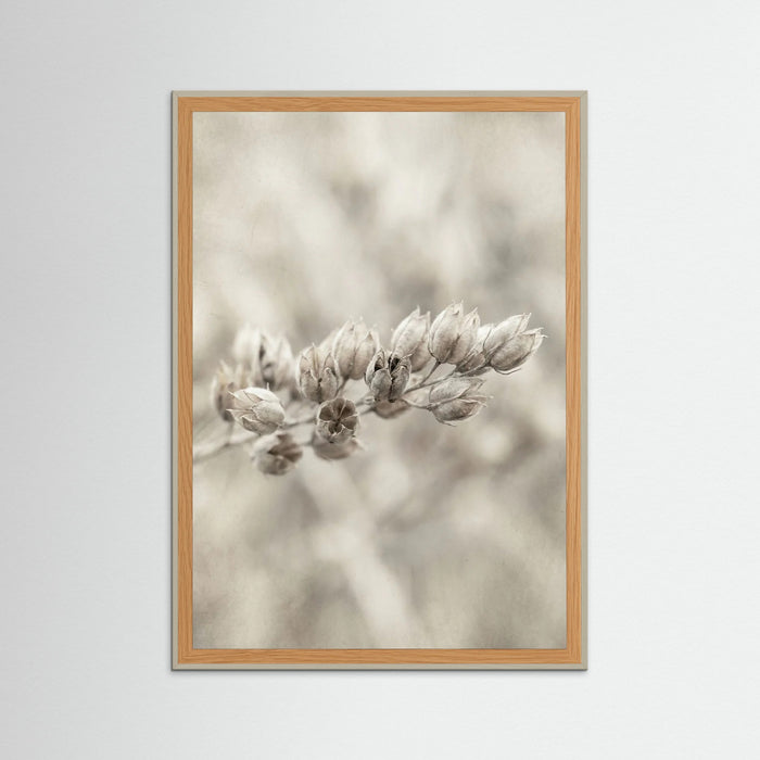 Grey Wood Faded Whisper